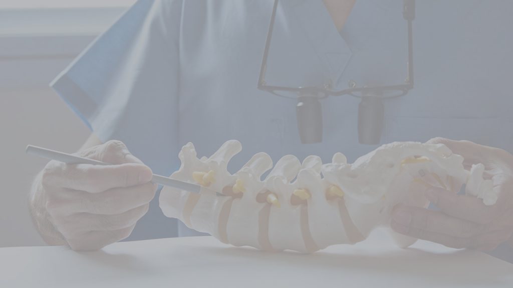 جراح متخصص در حال تشریح جزئیات روی مدل آناتومیک ستون فقرات